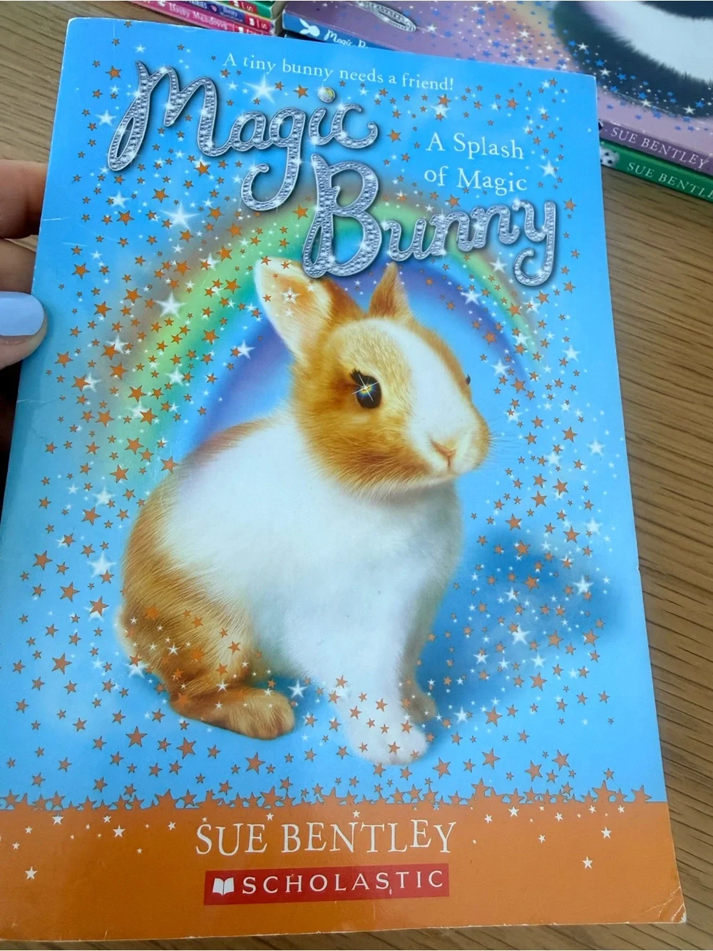 Childrens Junior Collection of over 30 Books
